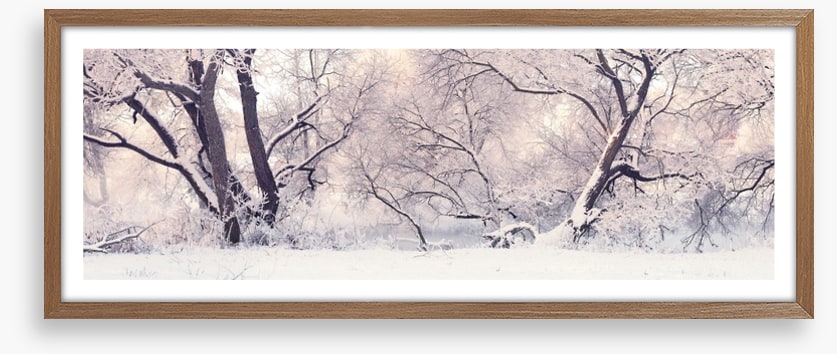 Soft snow branches