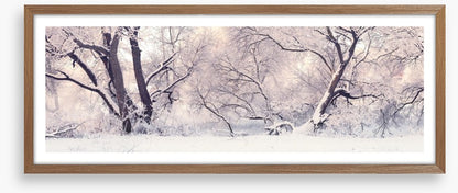 Soft snow branches
