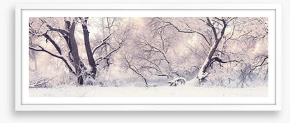 Soft snow branches