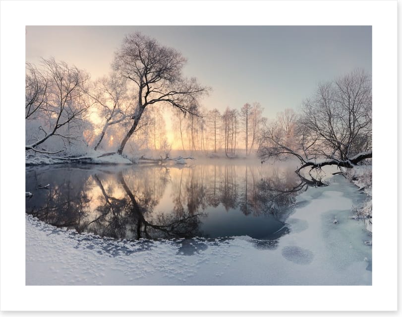 Frosty morning pond