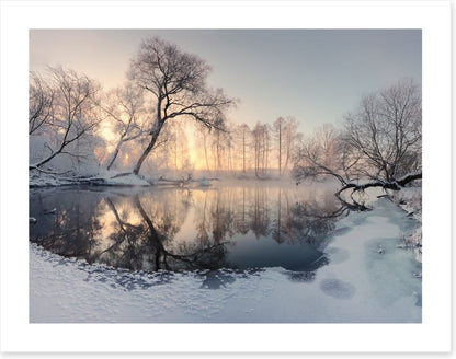 Frosty morning pond