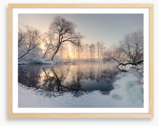 Frosty morning pond