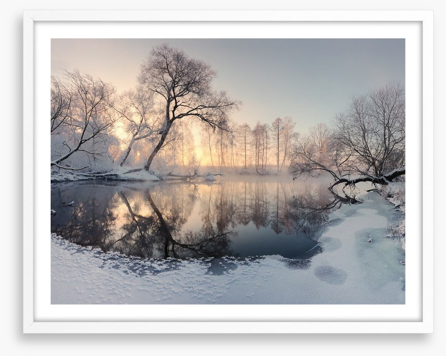 Frosty morning pond