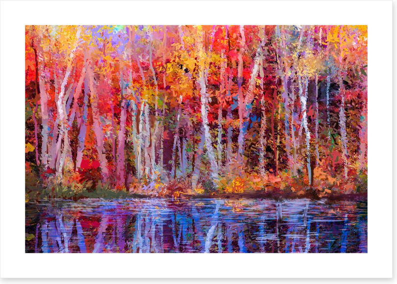 Aspens by the lake