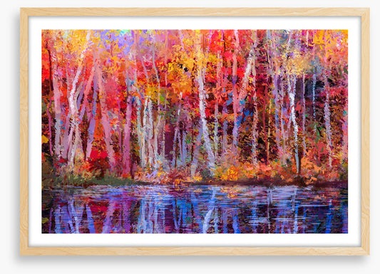 Aspens by the lake