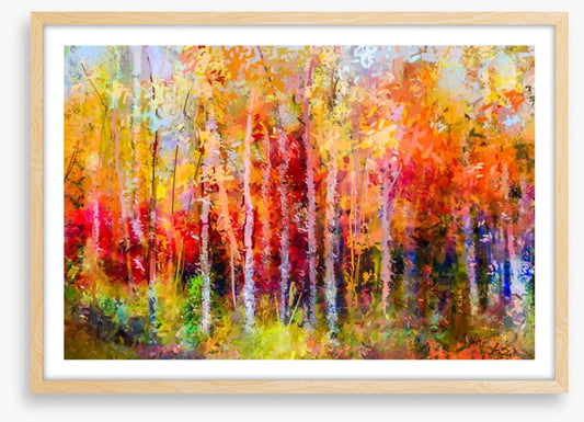 Aspen autumn