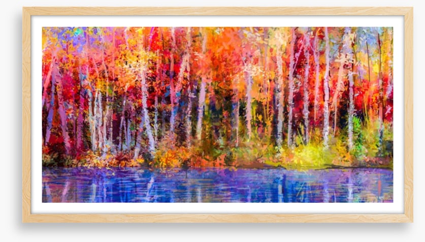 Aspen trees in fall