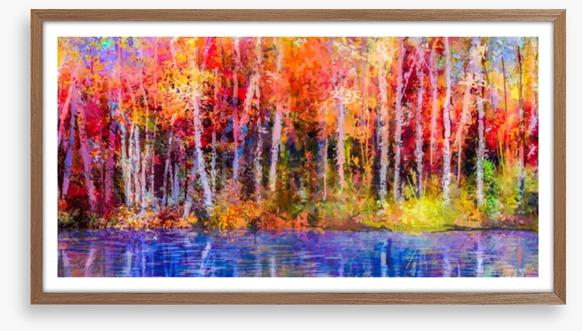 Aspen trees in fall