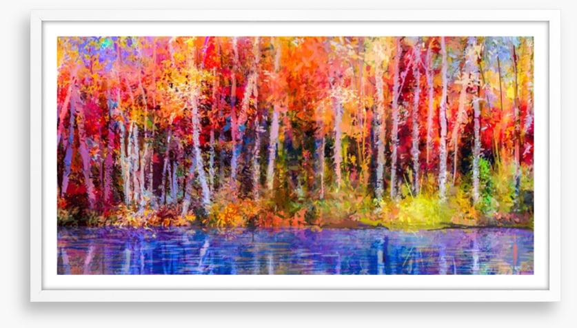 Aspen trees in fall