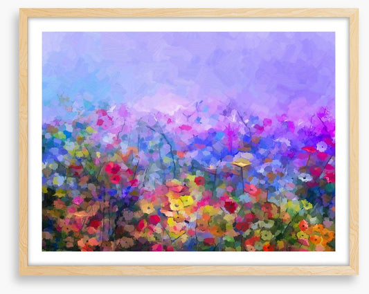 Dusk in the cosmos meadow