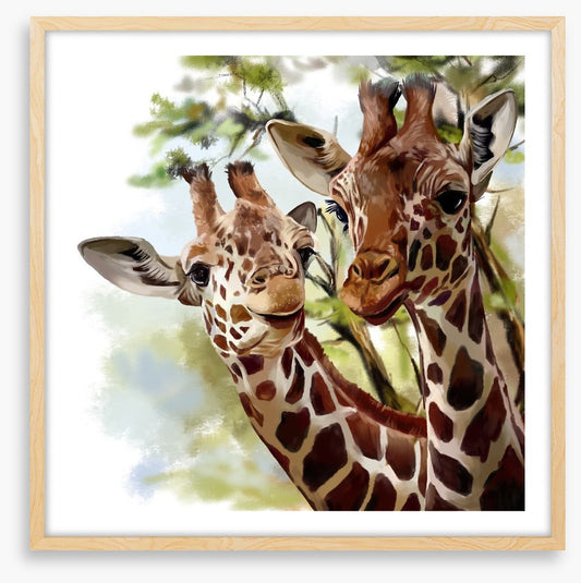 Giraffe and calf