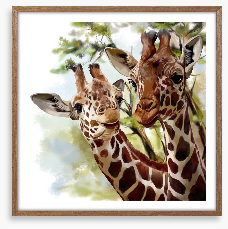Giraffe and calf