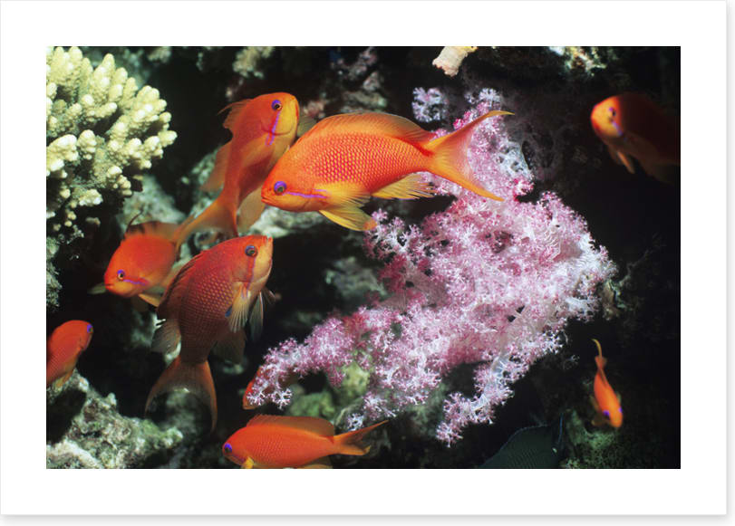 Underwater