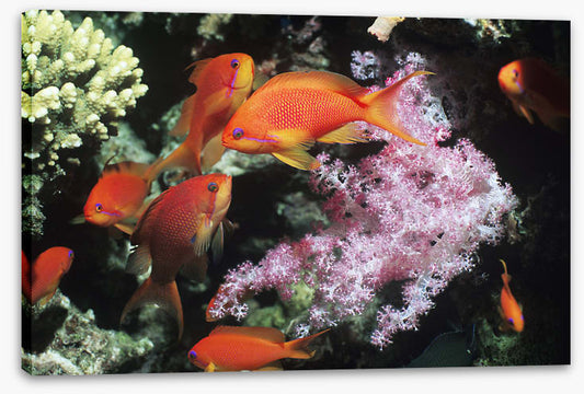 Underwater
