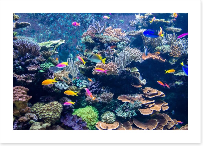 Underwater