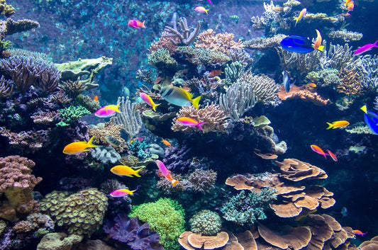 Underwater