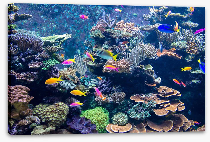 Underwater