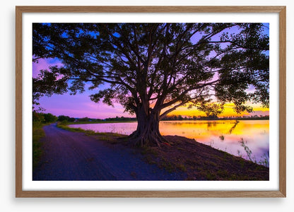 Beyond the big tree