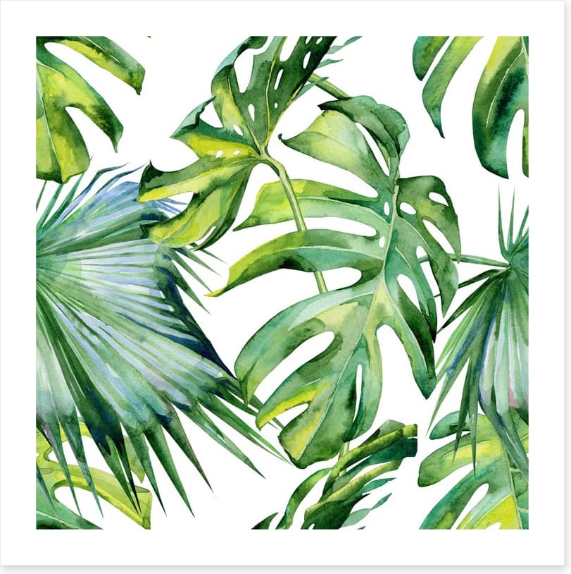 Tropical jungle leaves