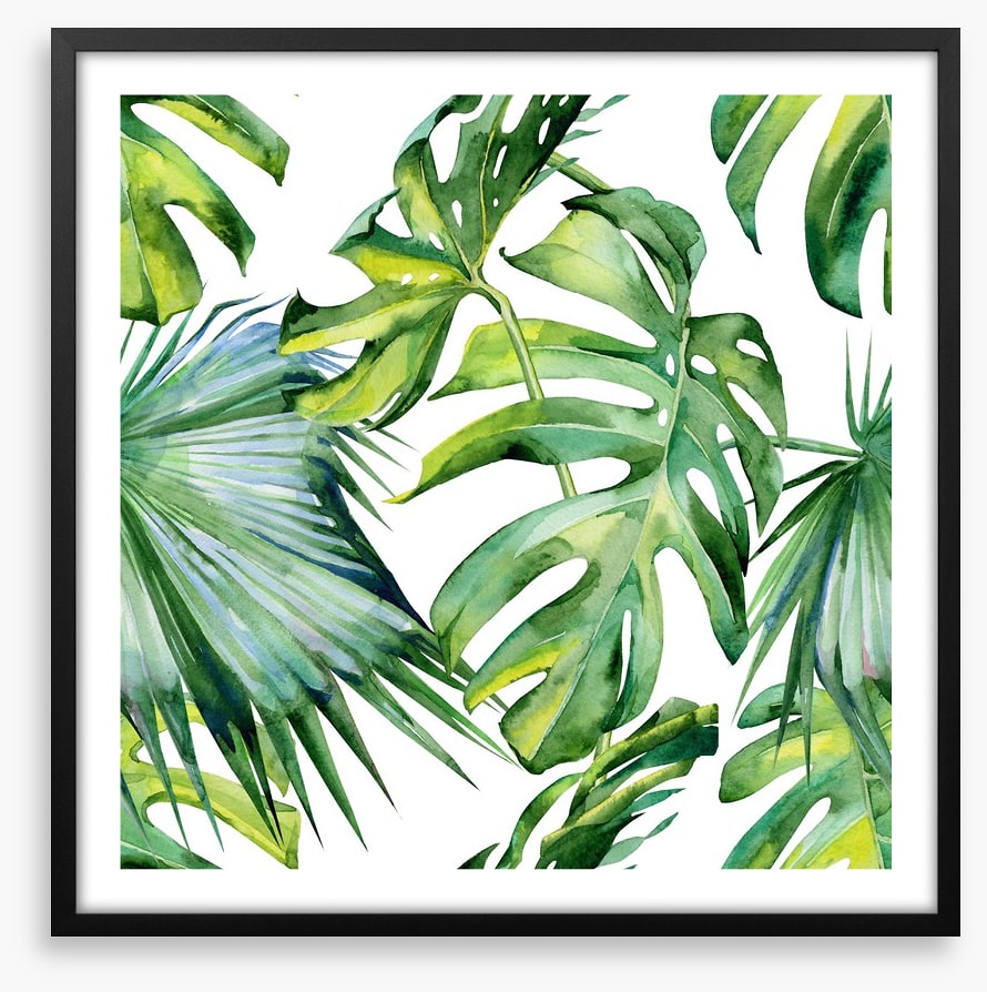 Tropical jungle leaves