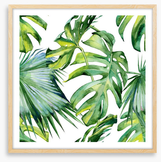Tropical jungle leaves