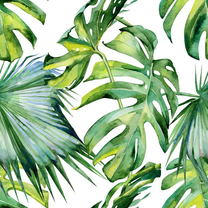Tropical jungle leaves