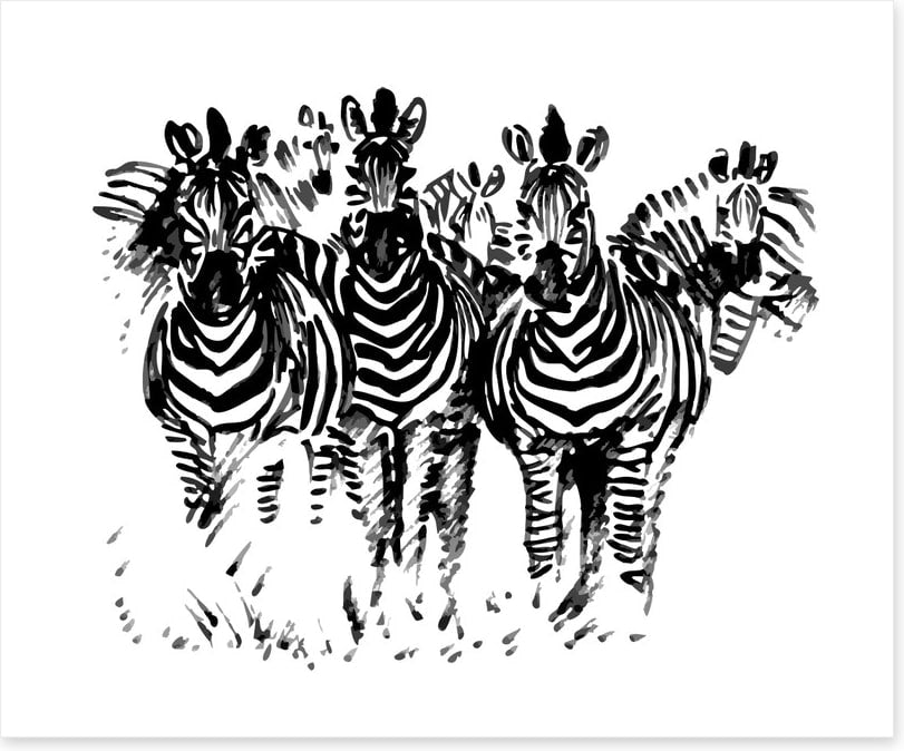 A dazzle of zebras