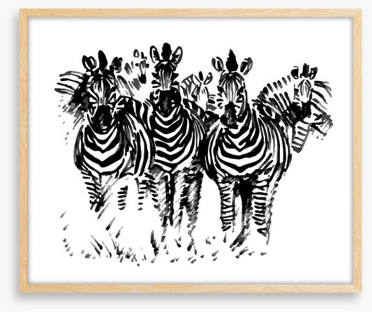 A dazzle of zebras