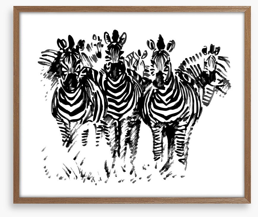 A dazzle of zebras