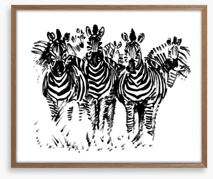 A dazzle of zebras