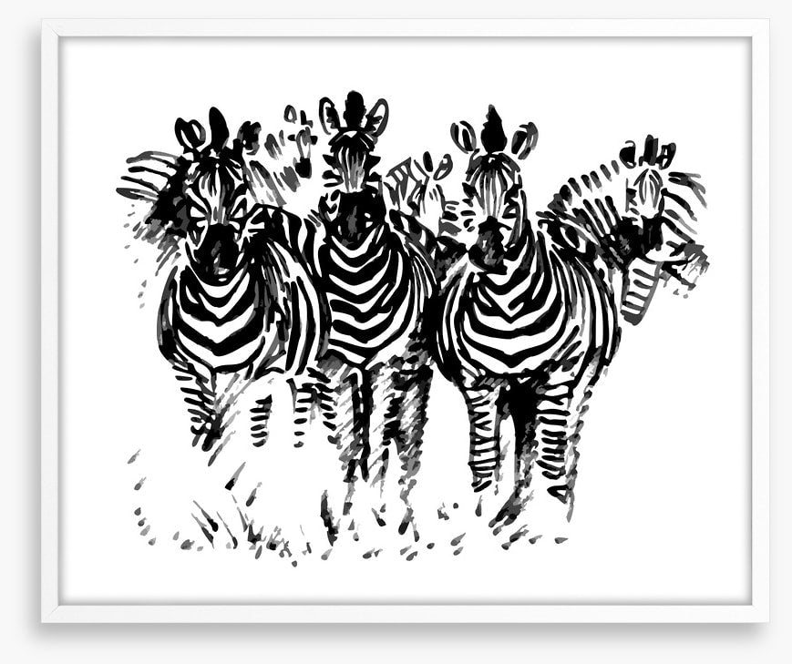 A dazzle of zebras