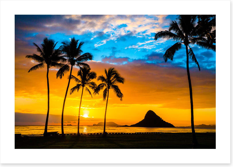 Hawaiian dream