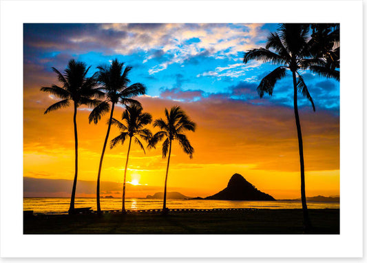 Hawaiian dream