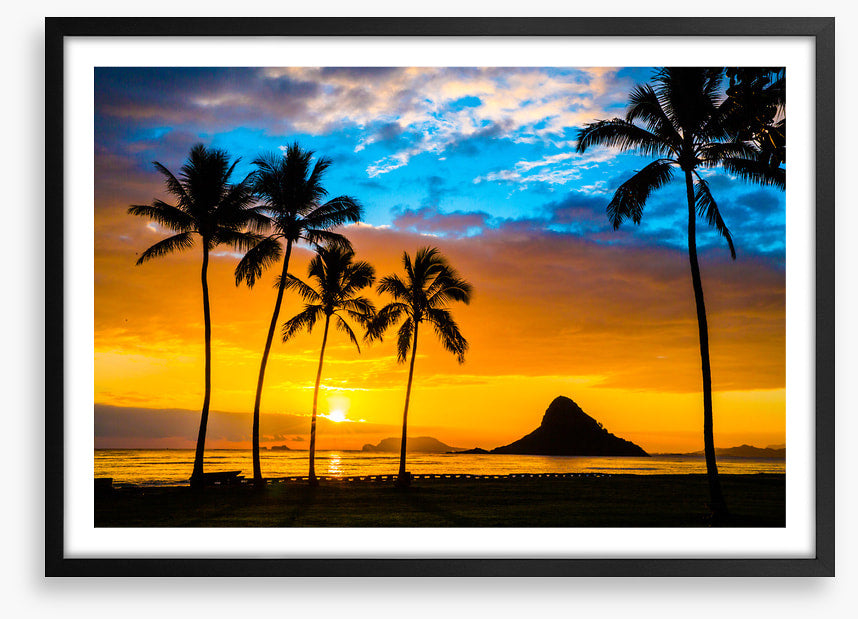 Hawaiian dream