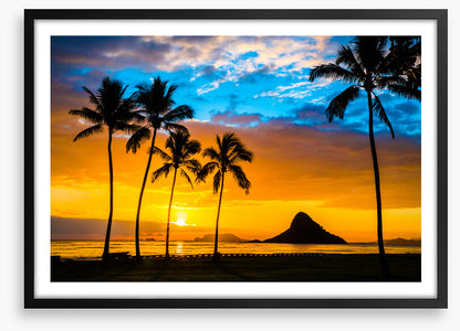 Hawaiian dream