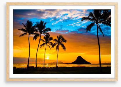 Hawaiian dream