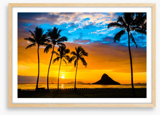 Hawaiian dream