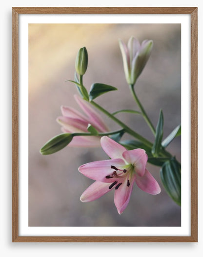 Little lilies