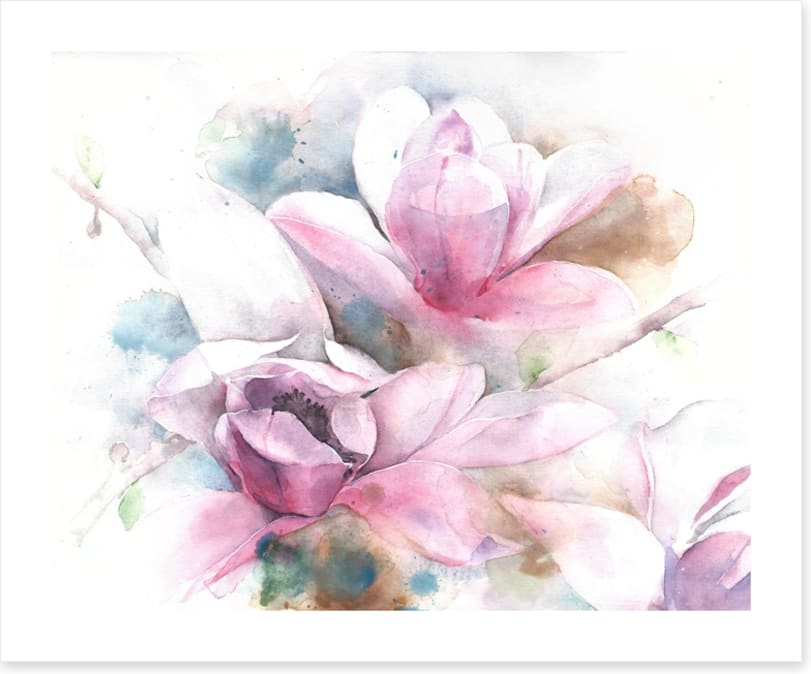 Magnolia dreams