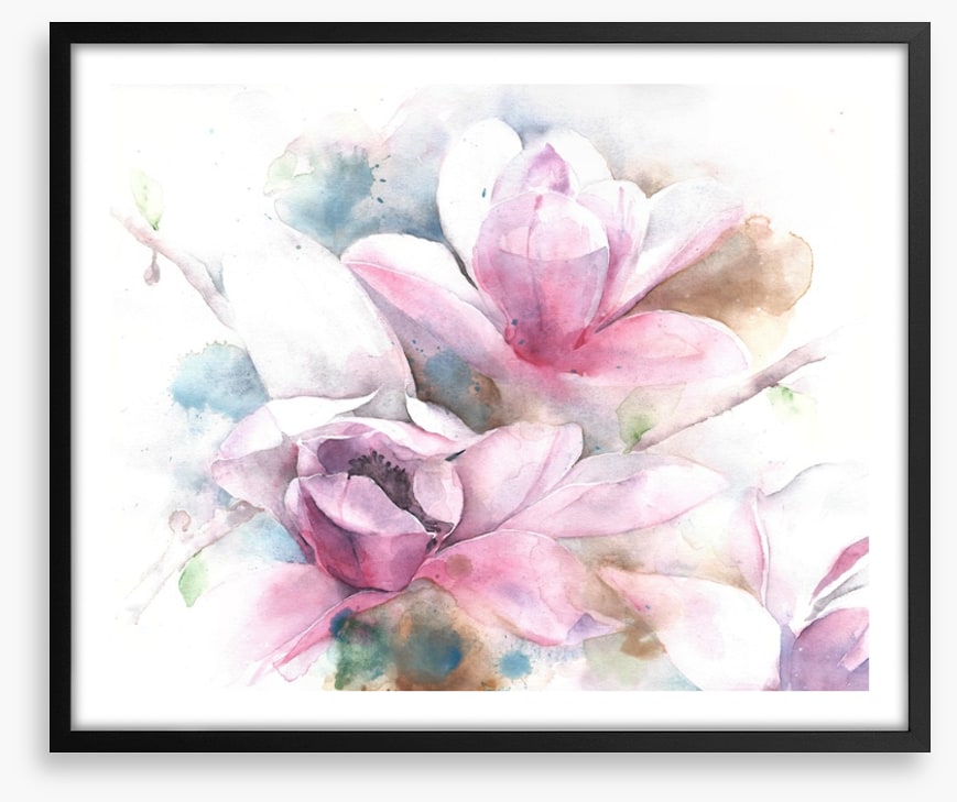 Magnolia dreams