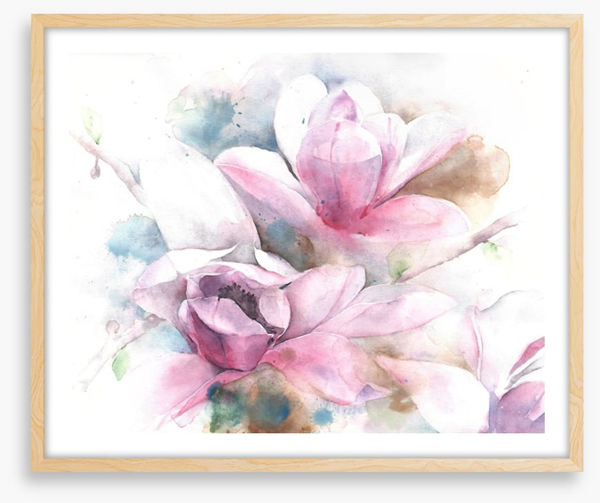 Magnolia dreams