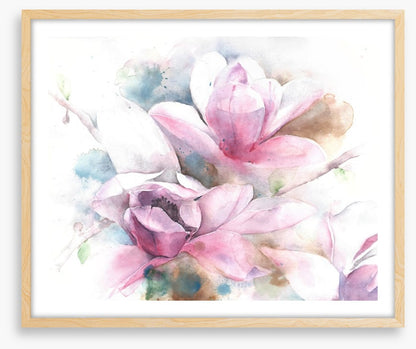 Magnolia dreams