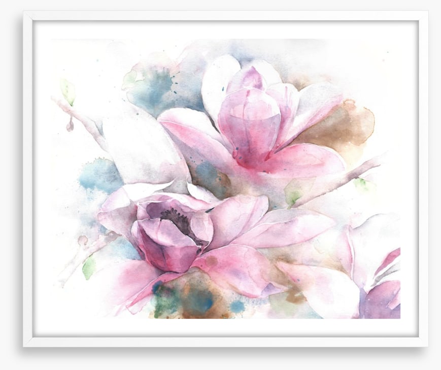 Magnolia dreams