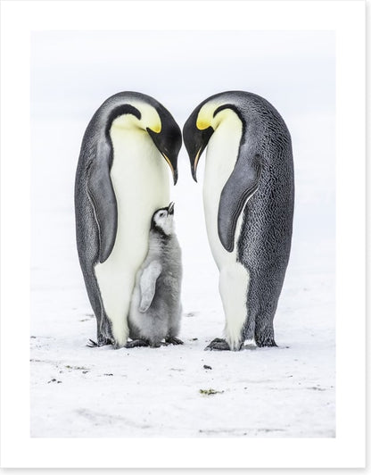Parental love