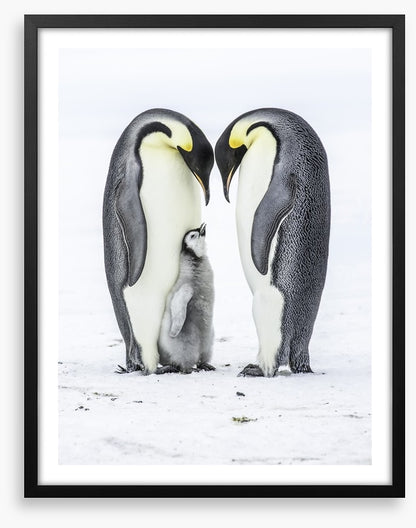 Parental love