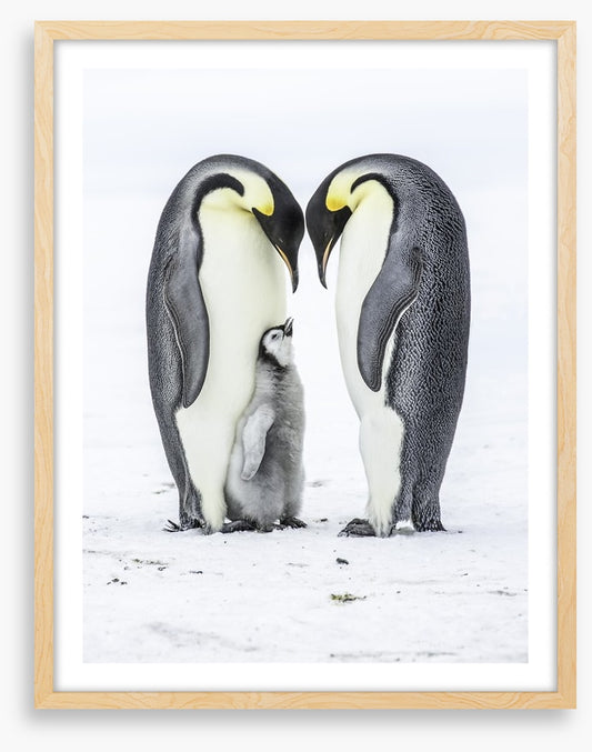Parental love