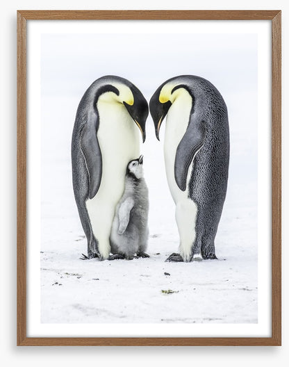Parental love