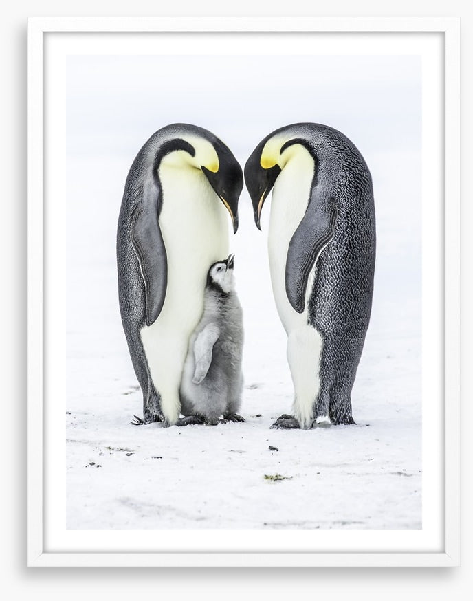 Parental love