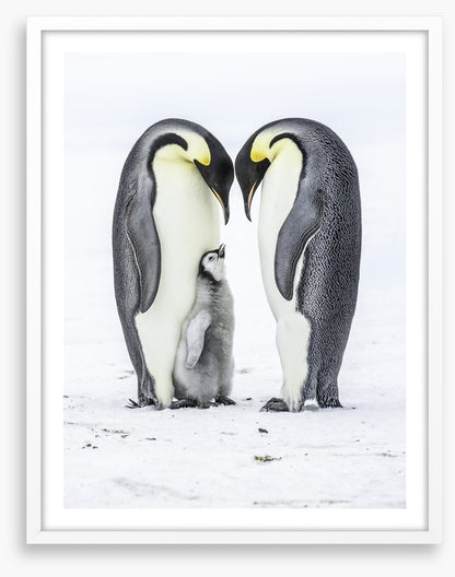 Parental love