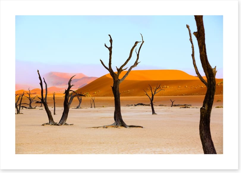 The deserted desert